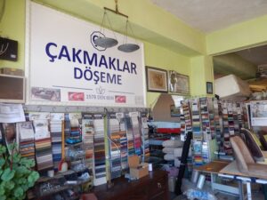 DSCN5145